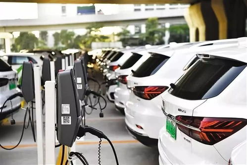 新能源汽车销量五连跌,专家称调整期要坚定信心