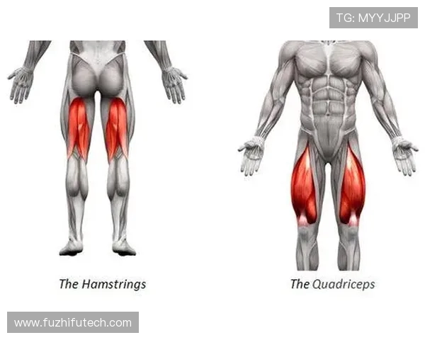 法兰克福中场奥斯卡霍伊伦大腿肌肉拉伤恢复期未确定